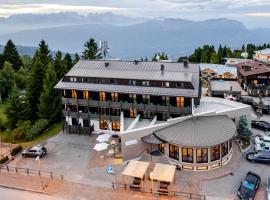 Hotel Dolomiti Chalet, hotel a Vason