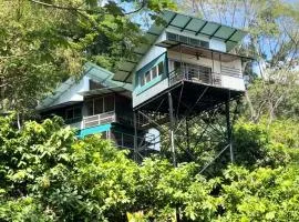 The Emerald Haven