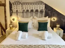 Amboise centre ville - Cocon Royal à deux pas du Château