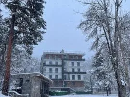 Likani apartment 2 room