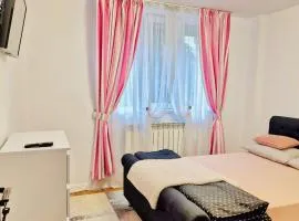 Cozy apartament Roman