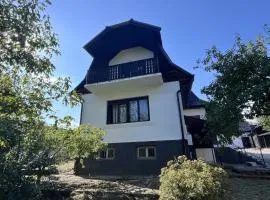 Vlads Place
