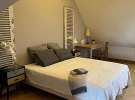 Chambre Solognote, ξενοδοχείο σε Saint-Pryvé-Saint-Mesmin