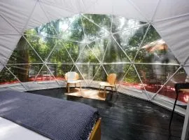 Indómito Domes at El Yunque Zone