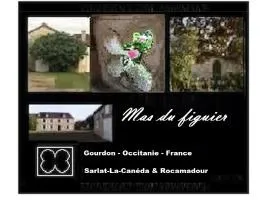 Mas du figuier Occitanie - Maison de maitre