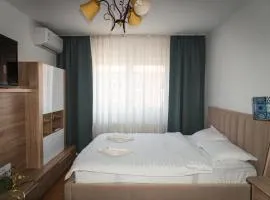 Cazare Medias, apartament modern