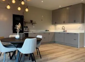 Modern house at Senja