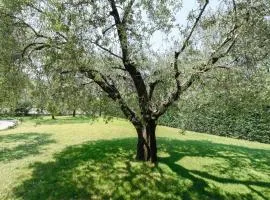 Il Giardino degli Ulivi