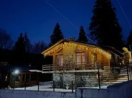 Villa Fox Bakuriani