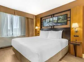 Best Western Queens Gold Coast