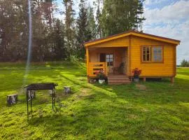 Atpūta Priedītēs - koka namiņi pie Tērvetes Dabas parka ar zirgiem, ponijiem un dabas tuvumu