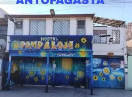 Hostal Pampaloja Antof