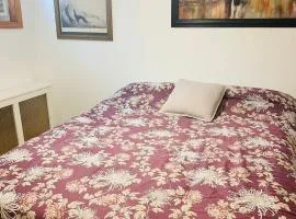 Excellent Room close to center city, stadiums, airport, casino, parks