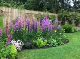 Beautiful Private Room Near Stony Brook University