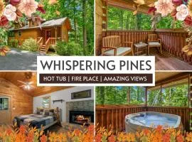 Rustic Cabin, WiFi, Hot Tub, Fireplace, Views!