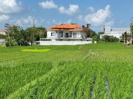 Padi Breeze Guesthouse Pererenan Bali