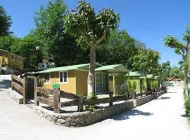 Camping Rio Purón