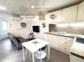 Le Ferdinand I - Cosy & Central