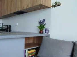 Apartament Lawendowy