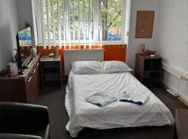 ZLM Ultra Central Room