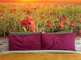 BioBenessere Eco-B&B -Adults Only- Moto&Bike Parking