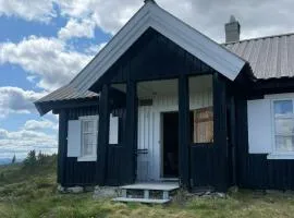 Traditional Mountain Cabin Near Hallingskarvet