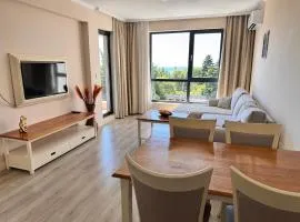 White Rock Castle Apartments - Pool & SPA