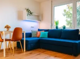 Mini Apartman - Parking free - 5 min center