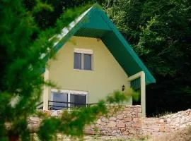 Forest Panorama Cabin Brezna