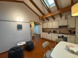 Special apartment in Ascona