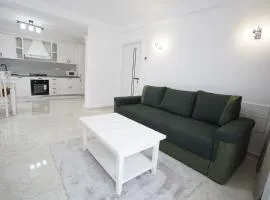 Apartament Ultracentral NICOL