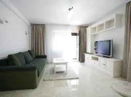 Apartament Ultracentral NICOL