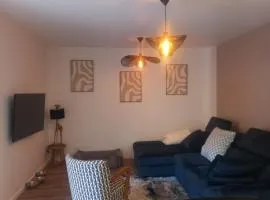 apt 2 ou 4 personnes avec jacuzzi au cœur de Laruns