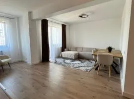 Apartament - La Stejari