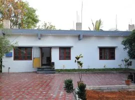 Aho Havens