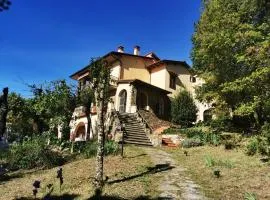 Villa Rosanna - views and woods near Florence