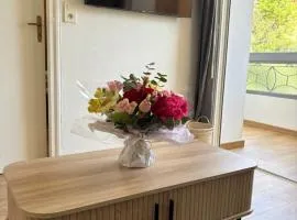 Charmant studio Sanguinaires