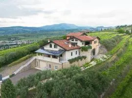 Zardo Winery