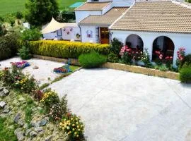 Casa Moya