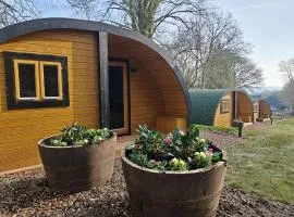 Ash - Pantygelli Escapes