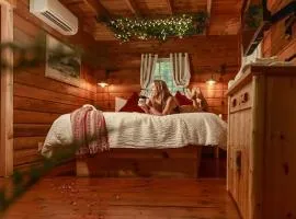 Buzzard Roost cabin at Cabin Fever in NC
