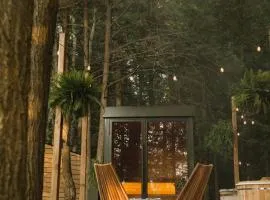 Aux Box Muskoka Modern Muskoka Bunkie