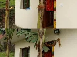 Dreamy Wonders House