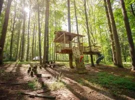 Multiple cabins at Cabin Fever