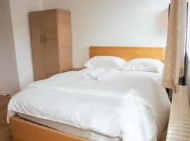 fabulous apartment near wembley