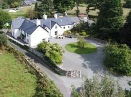 Tŷ Brithdir