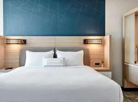 SpringHill Suites by Marriott High Point