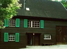 Holiday home in Wutach with swimming pool
