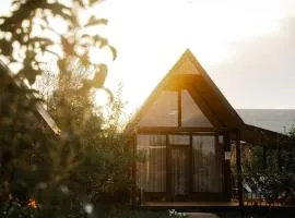 Coral houses2