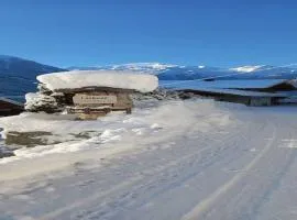 Chalet in Wald near Zillertal Ski Area
